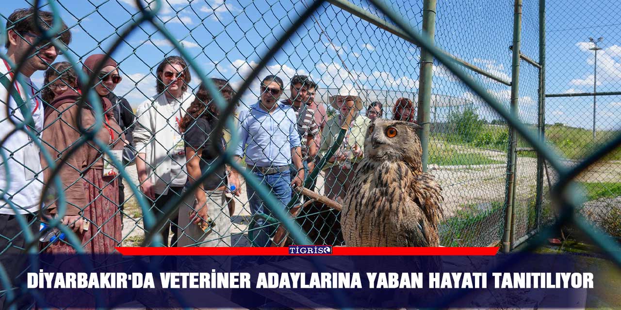 Diyarbakır'da veteriner adaylarına yaban hayatı tanıtılıyor