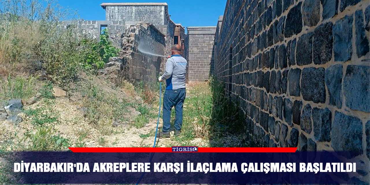 Diyarbakır'da akreplere karşı ilaçlama çalışması başlatıldı