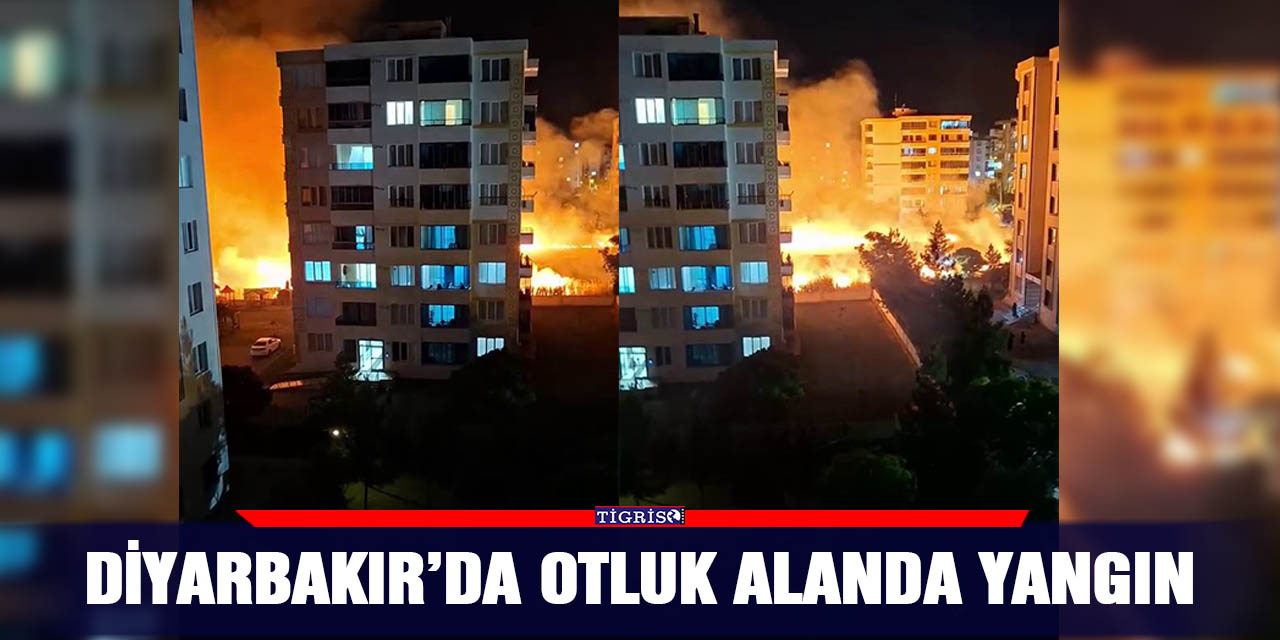 Diyarbakır’da otluk alanda yangın
