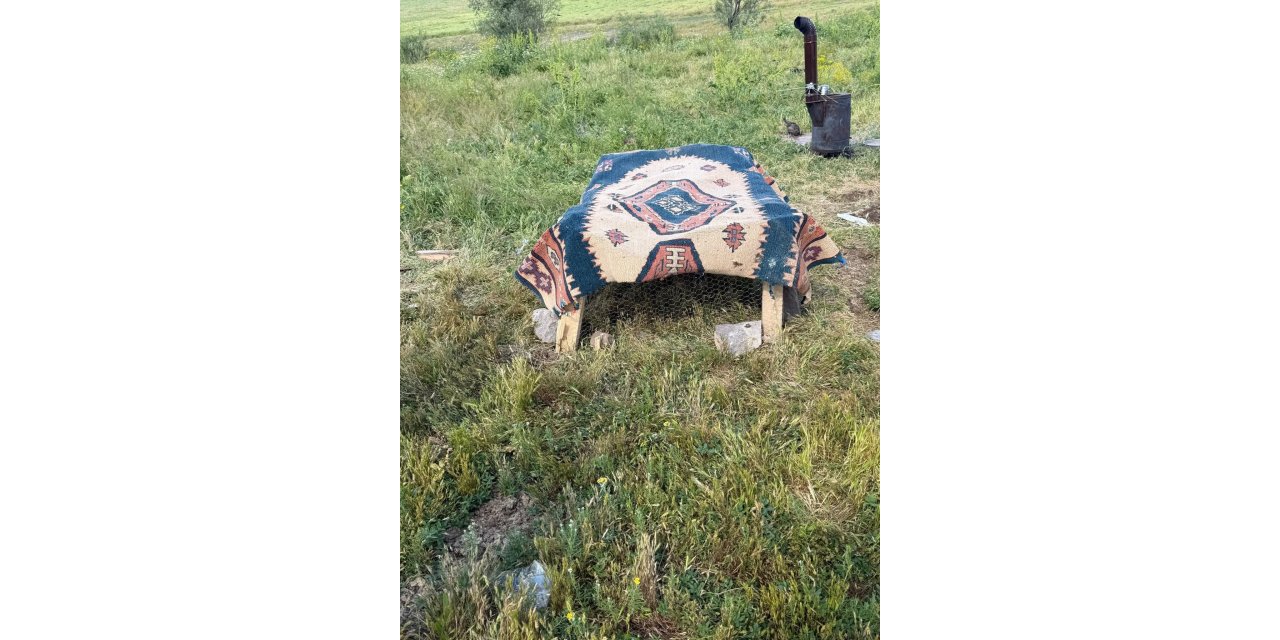 Kafeste keklik besleyen çobana 67 bin lira ceza