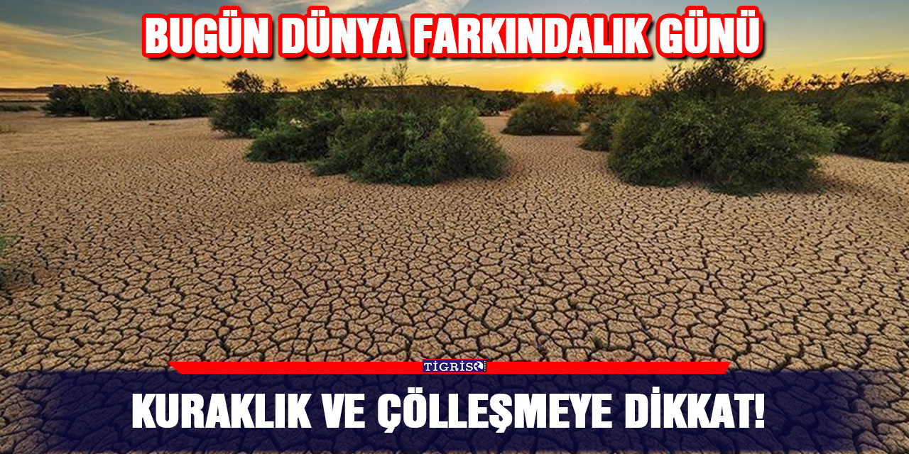 Kuraklık ve çölleşmeye dikkat!