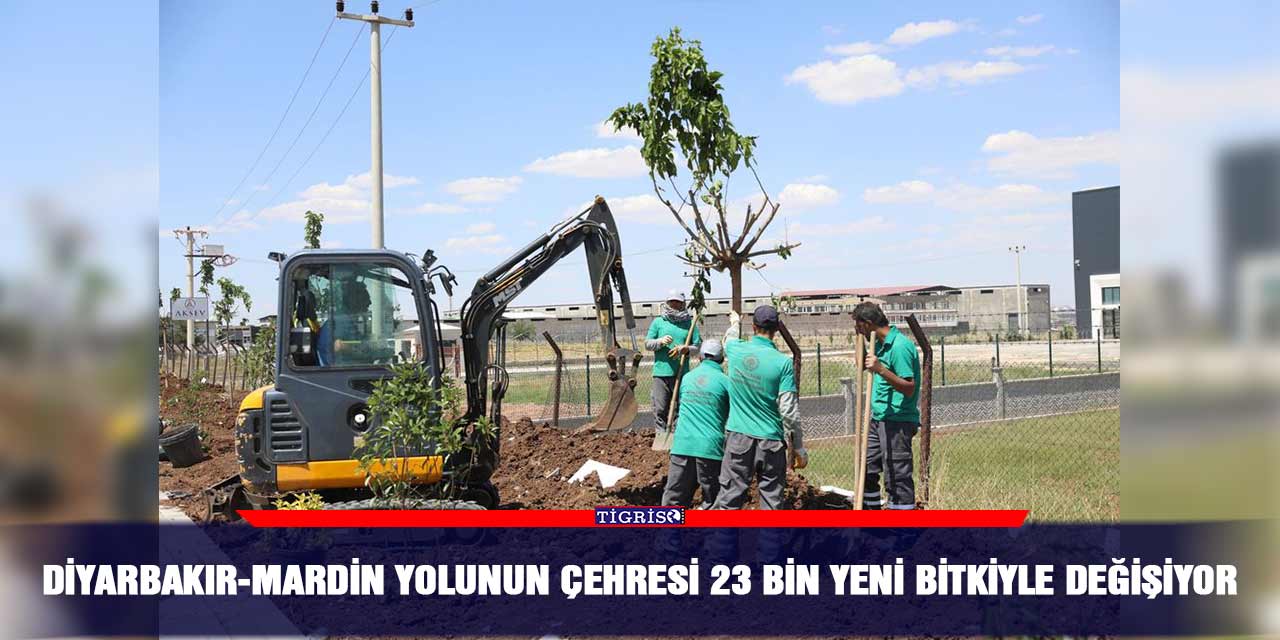 Diyarbakır-Mardin yolunun çehresi 23 bin yeni bitkiyle değişiyor