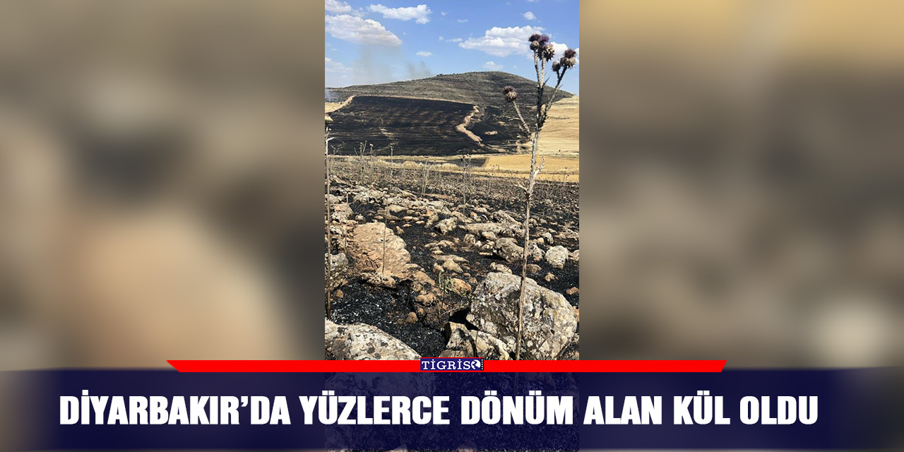 Diyarbakır’da yüzlerce dönüm alan kül oldu