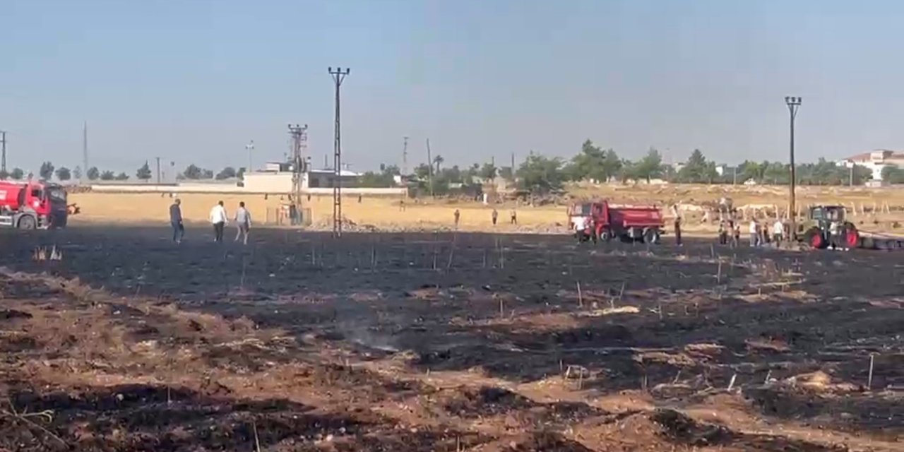 Buğday tarlasında yangın: 60 dönüm kül oldu
