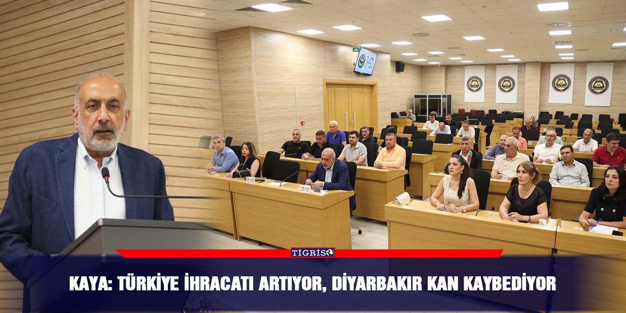 Kaya: Türkiye ihracatı artıyor, Diyarbakır kan kaybediyor