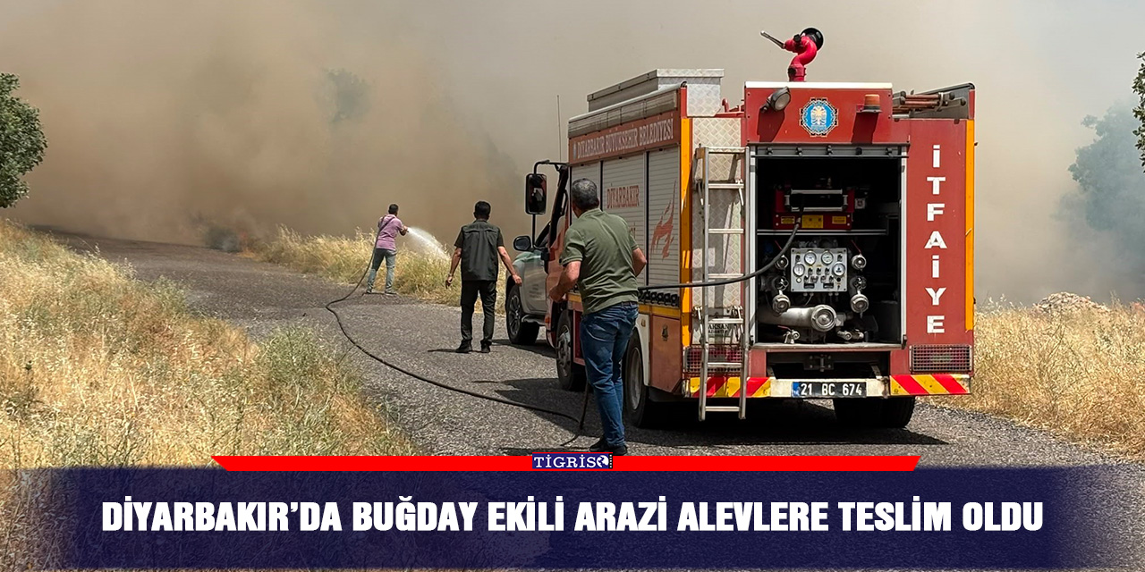 Diyarbakır’da buğday ekili arazi alevlere teslim oldu