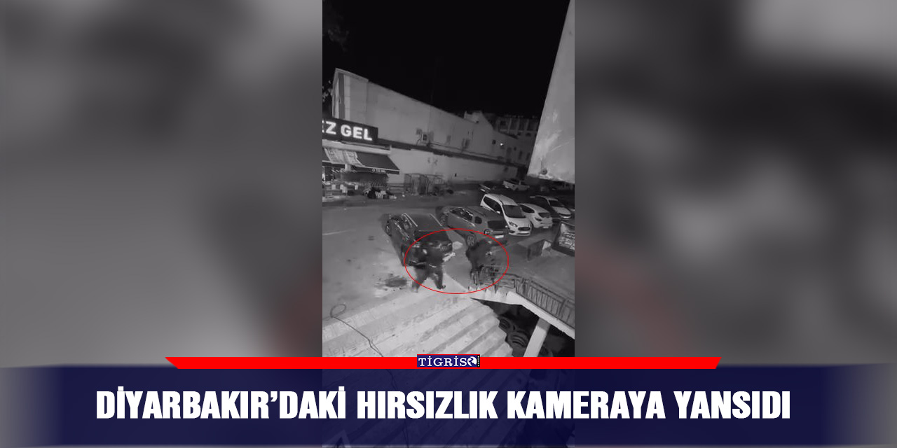 Diyarbakır’daki hırsızlık kameraya yansıdı