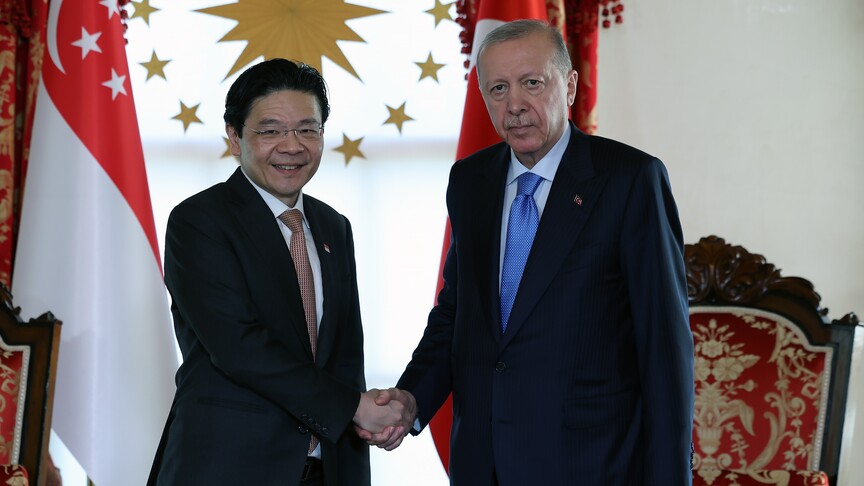 Erdoğan, Singapur Başbakanı Wong'u resmi törenle karşıladı