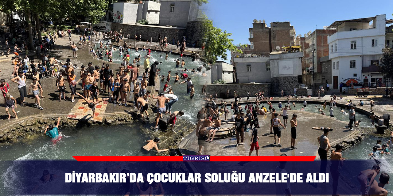 Diyarbakır’da çocuklar soluğu Anzele'de aldı