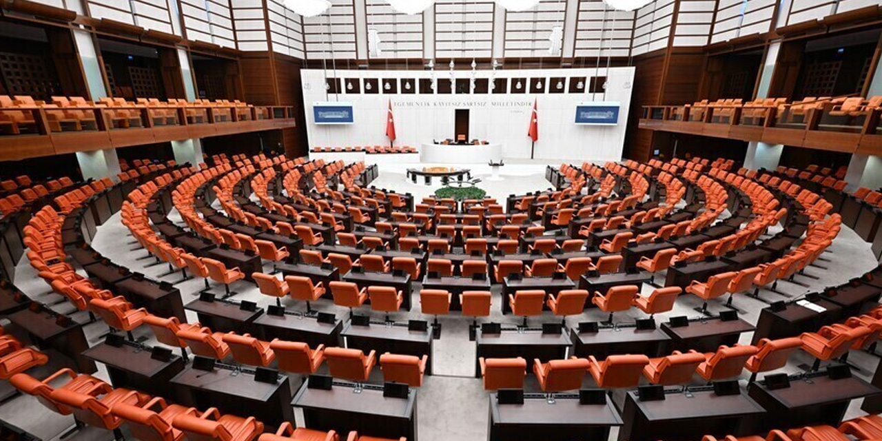 TBMM’ye zorunlu kadın askerlikten hayvan vergisine kadar çarpıcı talepler
