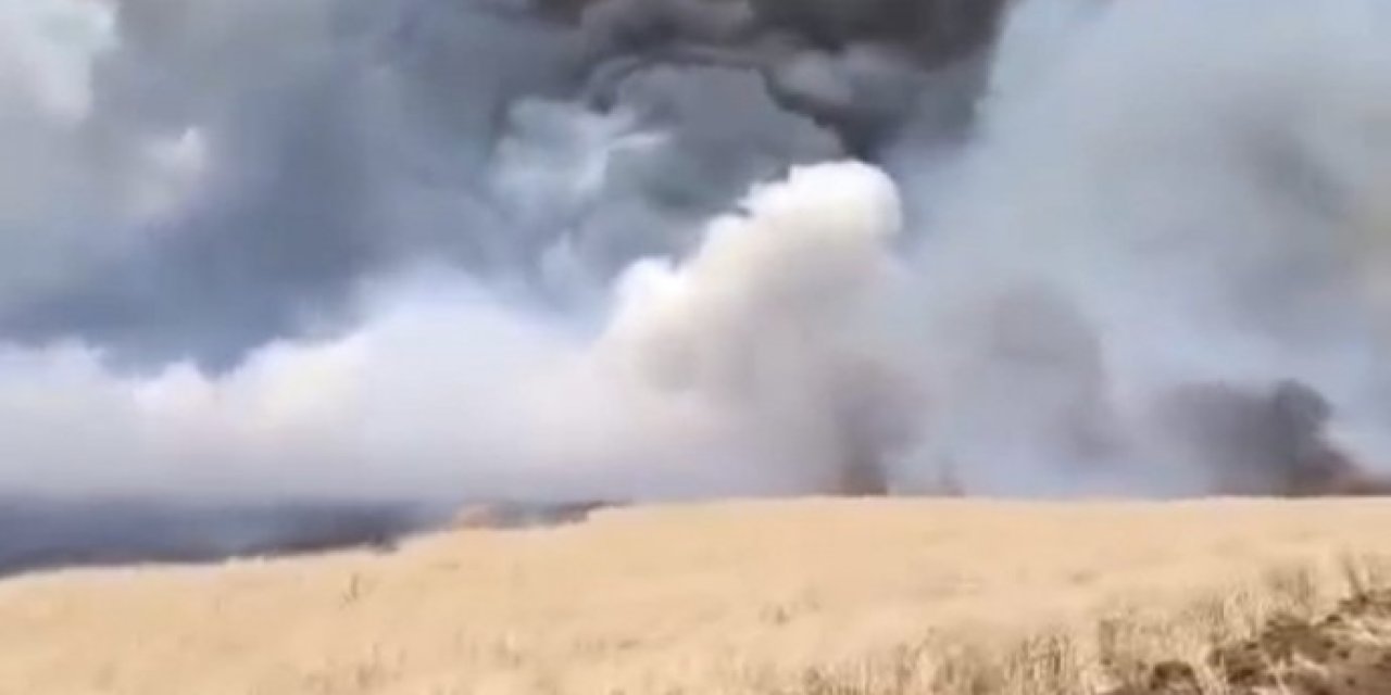 Kızıltepe’de ekili arazi küle döndü