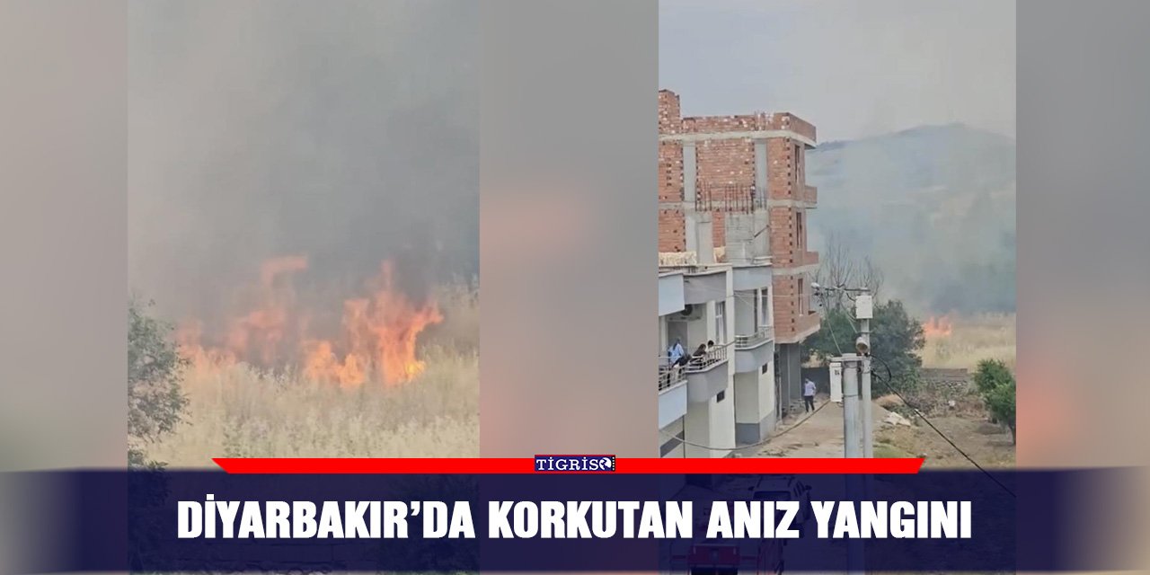 Diyarbakır’da korkutan anız yangını
