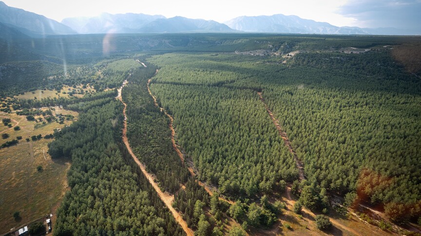 Orman yangını riskine karşı uyarı