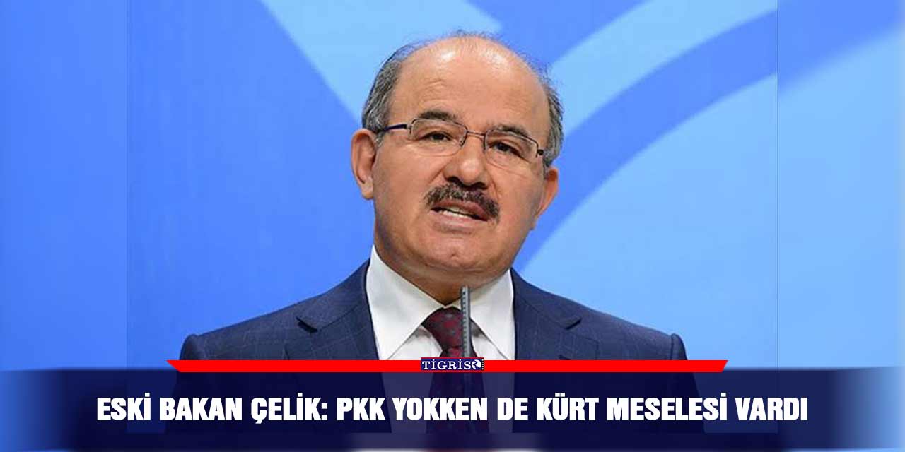 Eski Bakan Çelik: PKK yokken de Kürt meselesi vardı