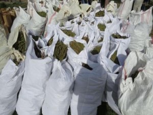 Diyarbakır'da Uyuşturucu Operasyonu