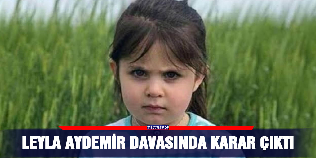 Leyla Aydemir davasında karar çıktı