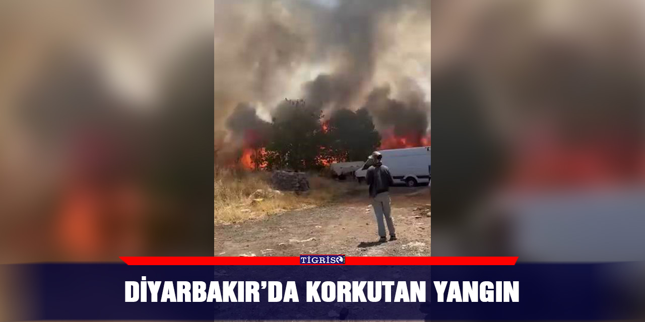 Diyarbakır’da korkutan yangın