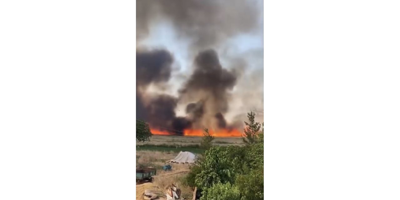 Şanlıurfa'da arazi yangını: 3 yaralı