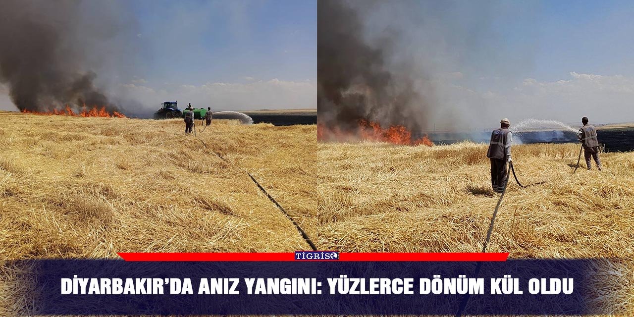 Diyarbakır’da anız yangını: Yüzlerce dönüm kül oldu
