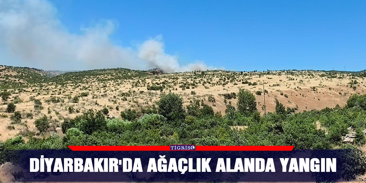 Diyarbakır'da ağaçlık alanda yangın