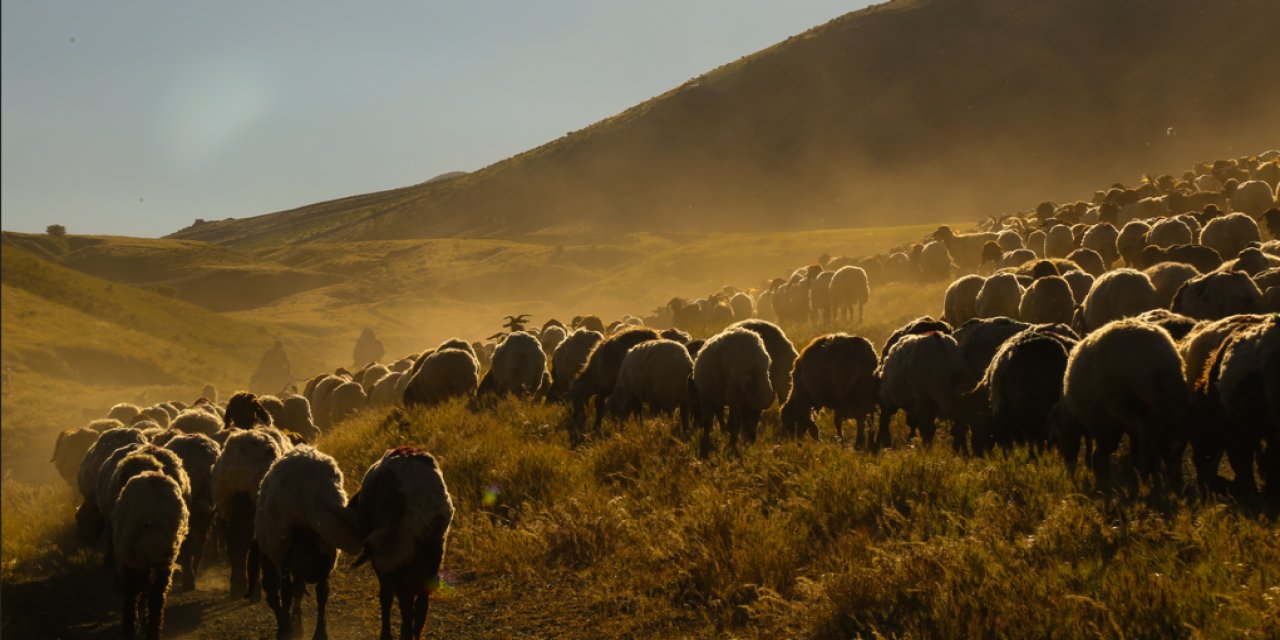 Tatvan’da yayla göçü başladı