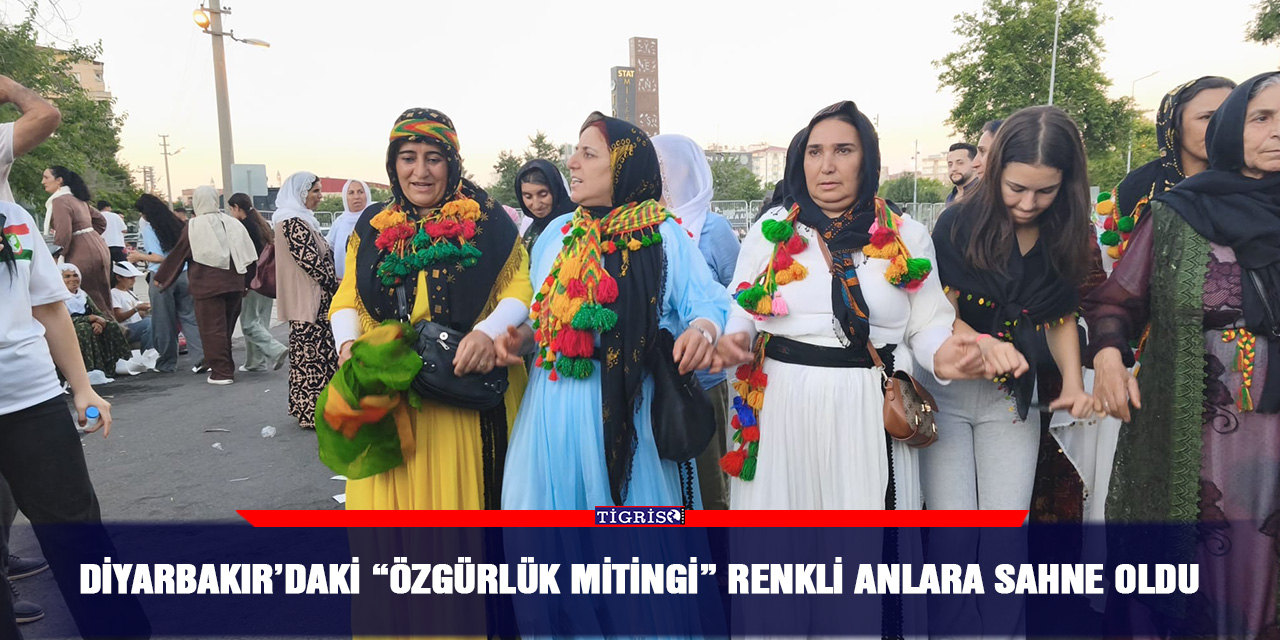 Diyarbakır’daki “Özgürlük Mitingi” renkli anlara sahne oldu