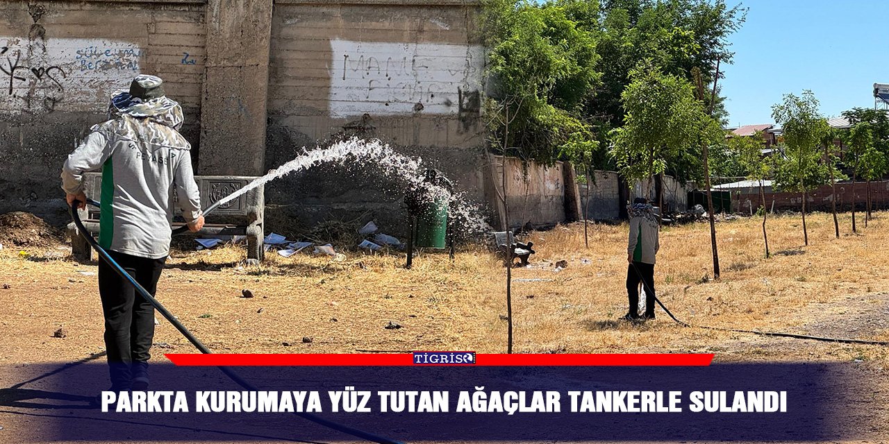 Parkta kurumaya yüz tutan ağaçlar tankerle sulandı