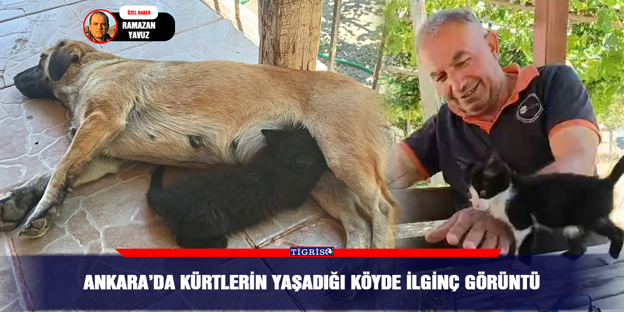 Ankara’da Kürtlerin yaşadığı köyde ilginç görüntü
