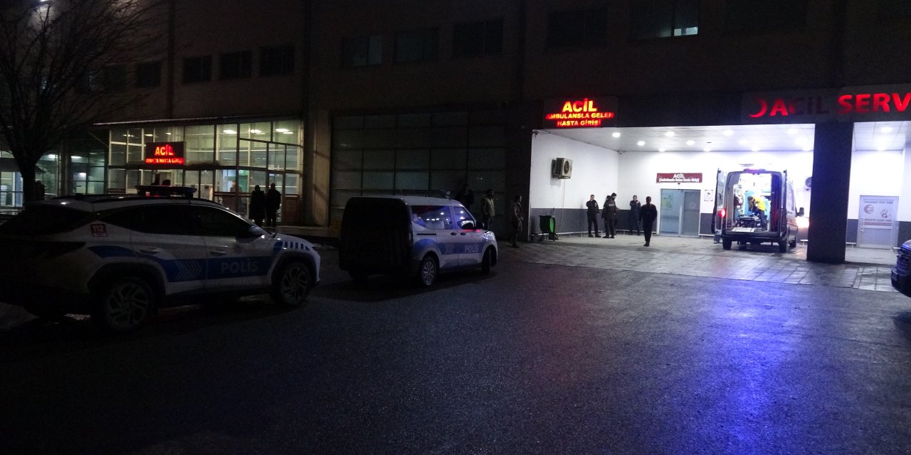 Dut ağacı yüzünden aileler birbirine girdi: 3 yaralı