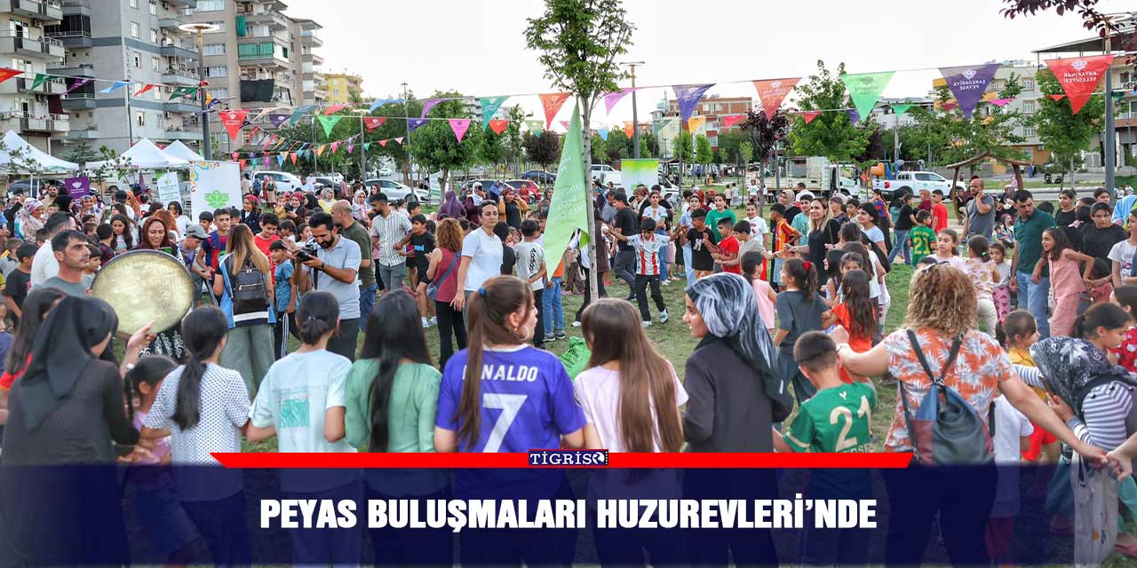 Peyas Buluşmaları Huzurevleri’nde