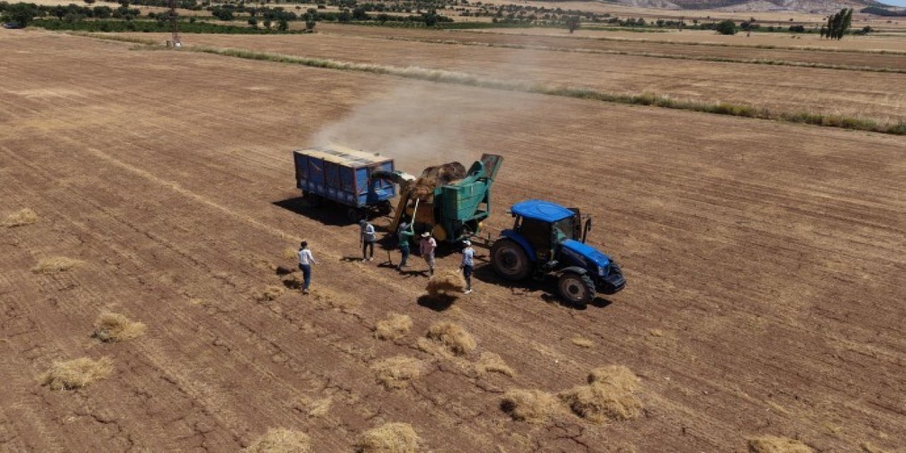 Mezopotamya Ovası'nda hasatta sona doğru