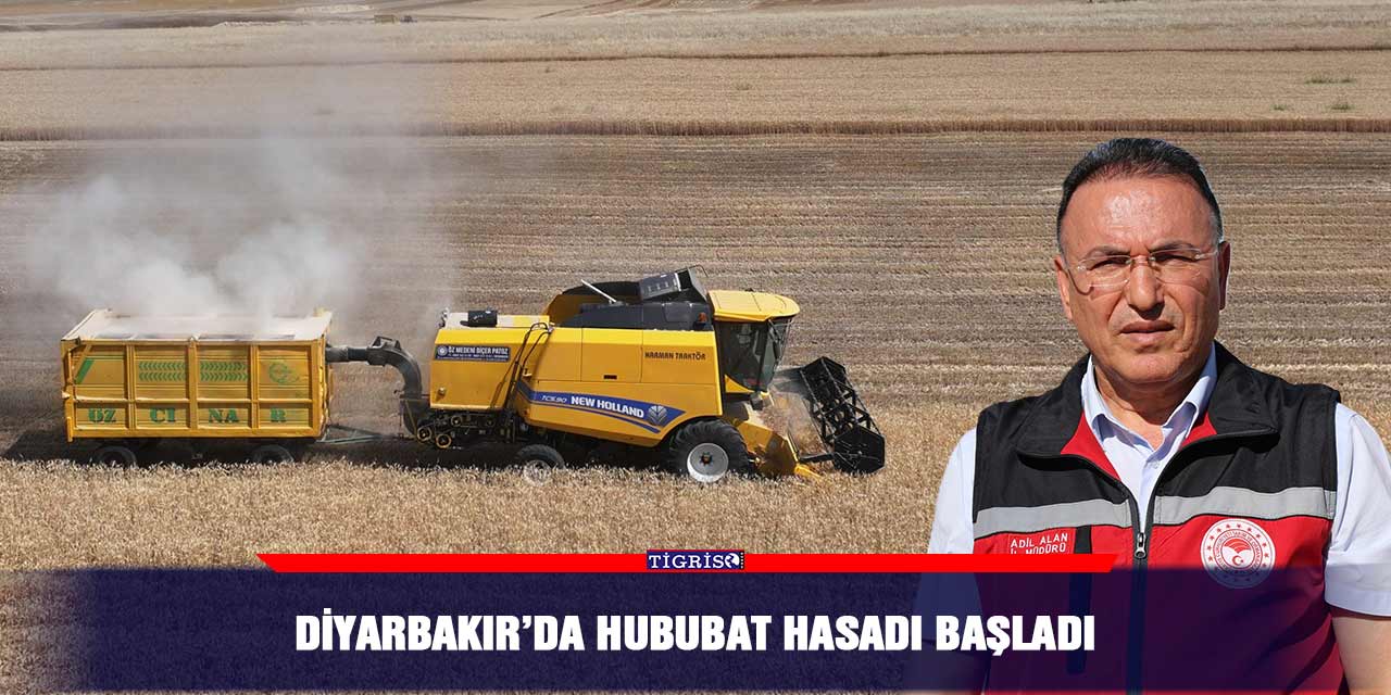 Diyarbakır’da hububat hasadı başladı