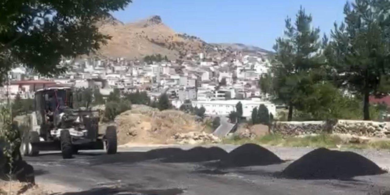 Diyarbakır’da çukurlara ağaç dikilen yolda çalışma başladı