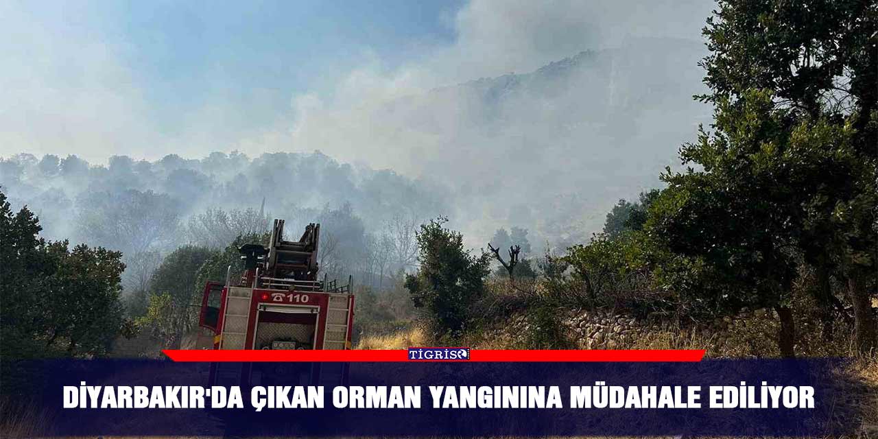 Diyarbakır'da çıkan orman yangınına müdahale ediliyor