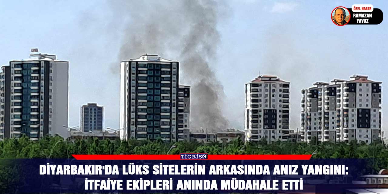 Diyarbakır'da lüks sitelerin arkasında anız yangını
