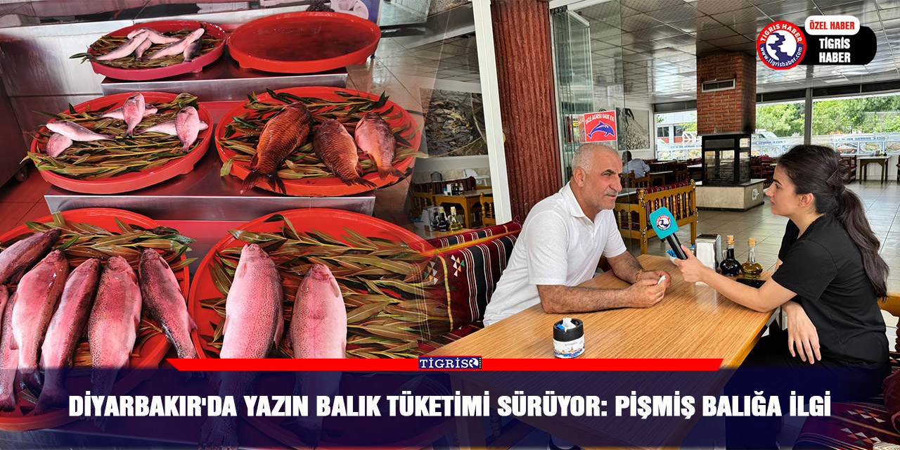 Diyarbakır'da yazın balık tüketimi sürüyor: Pişmiş balığa ilgi