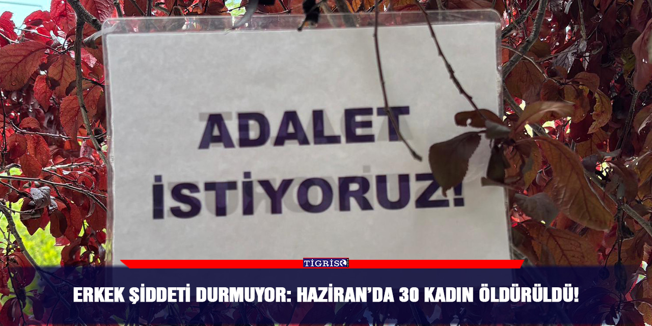 Erkek şiddeti durmuyor: Haziran’da 30 kadın öldürüldü!