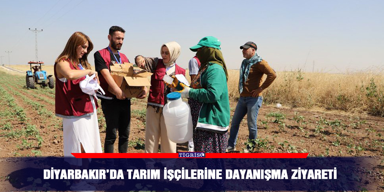 Diyarbakır’da tarım işçilerine dayanışma ziyareti