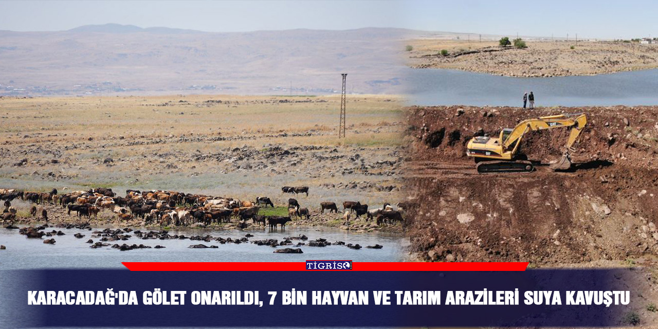 Karacadağ'da gölet onarıldı, 7 bin hayvan ve tarım arazileri suya kavuştu