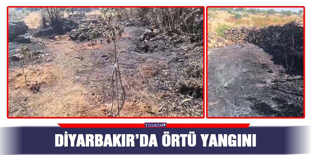 Diyarbakır’da örtü yangını