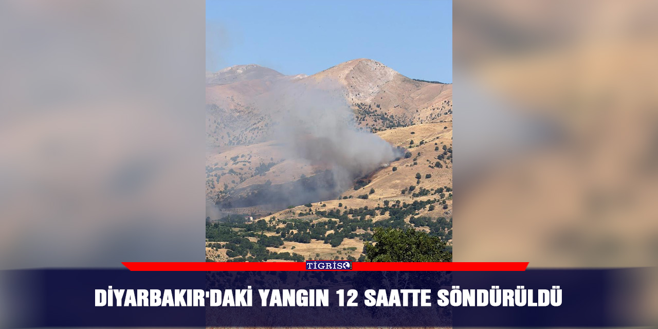 Diyarbakır'daki yangın 12 saatte söndürüldü
