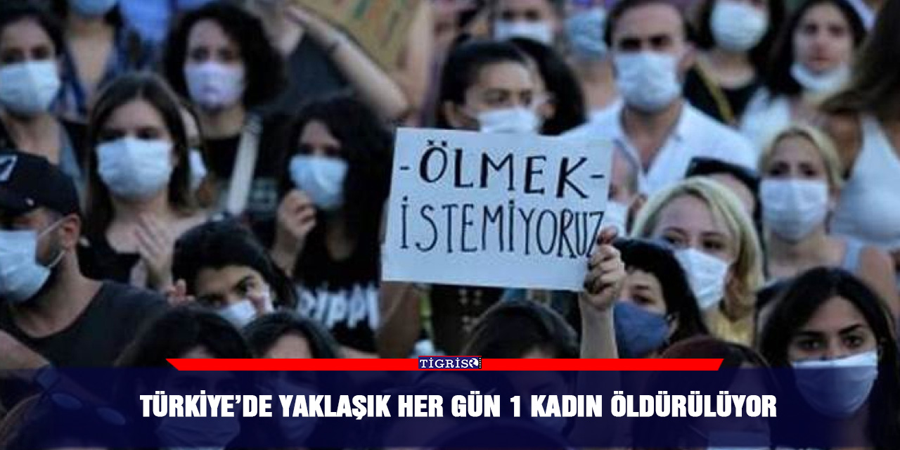 Türkiye’de yaklaşık her gün 1 kadın öldürülüyor