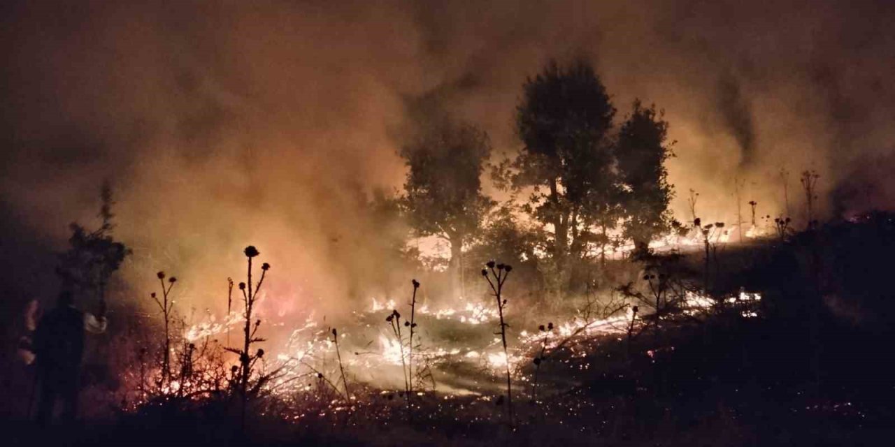 Şırnak'ta 120 dönümlük buğday tarlası kül oldu