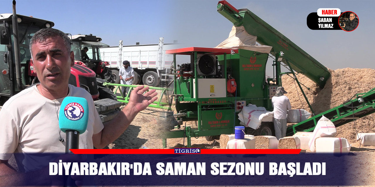 Diyarbakır'da saman sezonu başladı