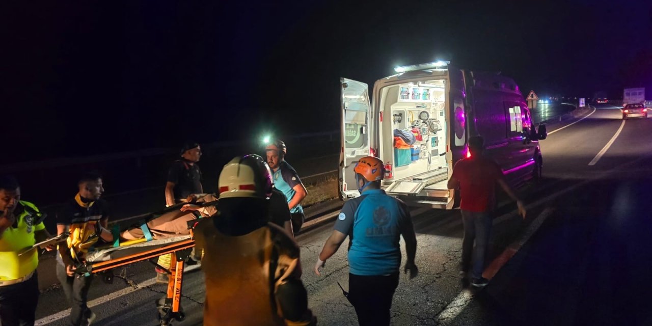 Bingöl'de otomobil ineklere çarptı: 2 yaralı