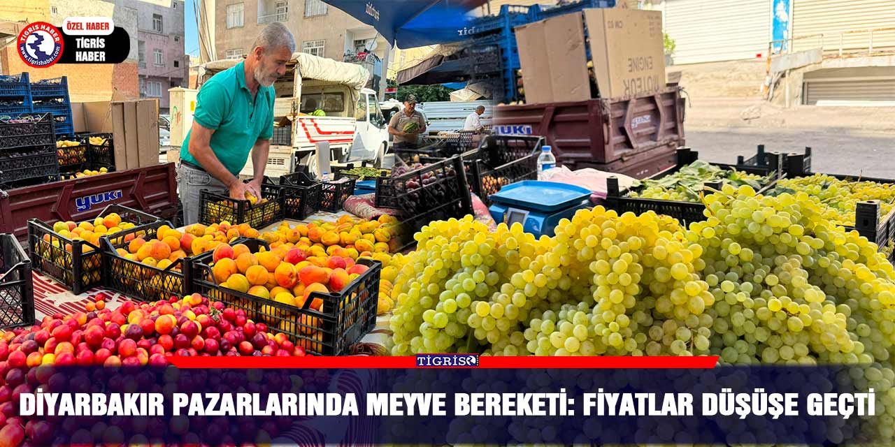 Diyarbakır pazarlarında meyve bereketi: Fiyatlar düşüşe geçti