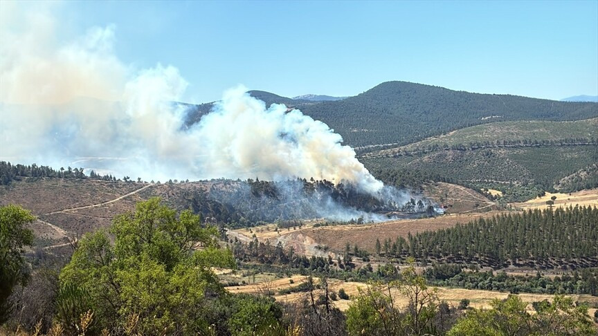 Bursa'da çıkan orman yangınına müdahale ediliyor