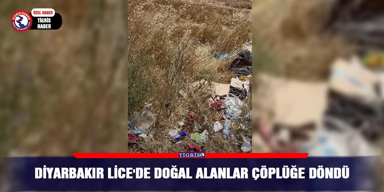 Diyarbakır Lice'de doğal alanlar çöplüğe döndü