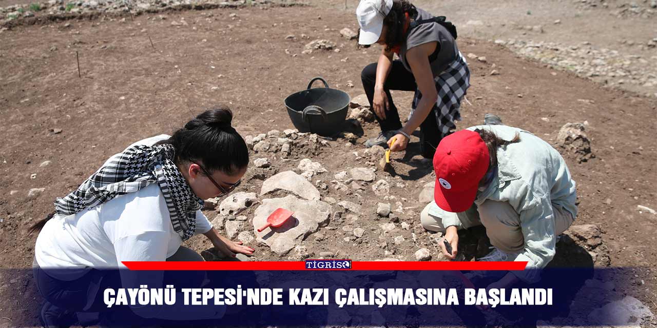 Çayönü Tepesi'nde kazı çalışmasına başlandı