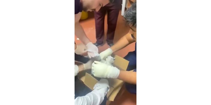 Bu kez hastaya değil, kediye müdahale